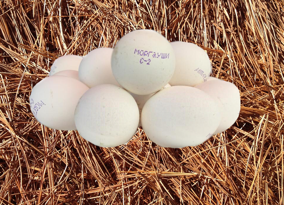 Какие яйца лучше купить. Яйца с0 и с2. Сорт яиц с0. Яйца с1 с2 с3. Крупные куриные яйца.