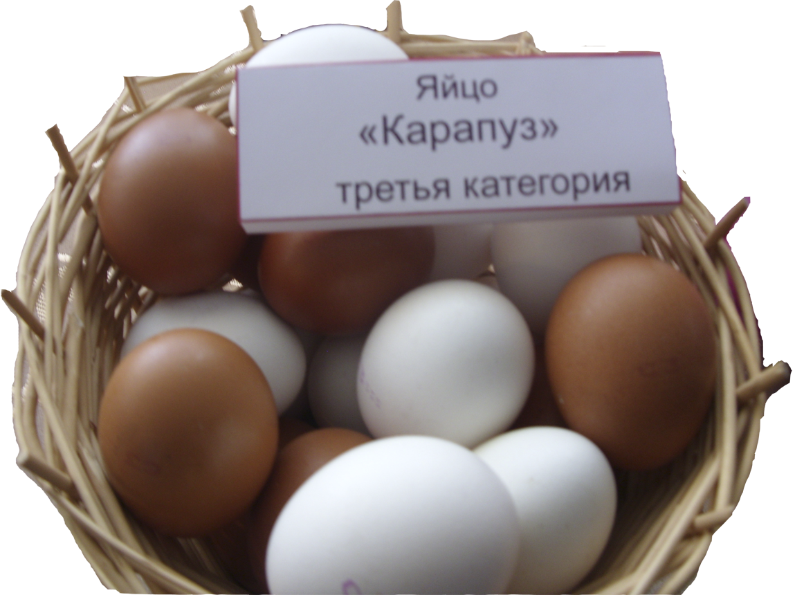 Третье яичко. Яйцо куриное. Яйца третьей категории. Подарочное яйцо куриное. Реклама яиц куриных.